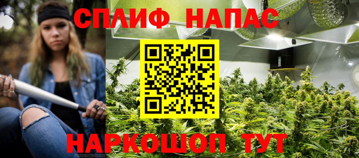 Бошки Шишки Amnesia  Вход с VPN  Чита  Марихуана Ganja 